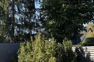 Modernes Endhaus am Brabandkanal mit großem Garten, Dachterrasse und Wellnessbereich – Am Brabandkanal 5d, 22297 Alsterdorf, Hamburg – Vorschaubild 26