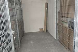 2 Zimmer-Wohnung im Philosophenweg in Kassel – Philosophenweg 58, 34121 Süd, Kassel – Vorschaubild 19