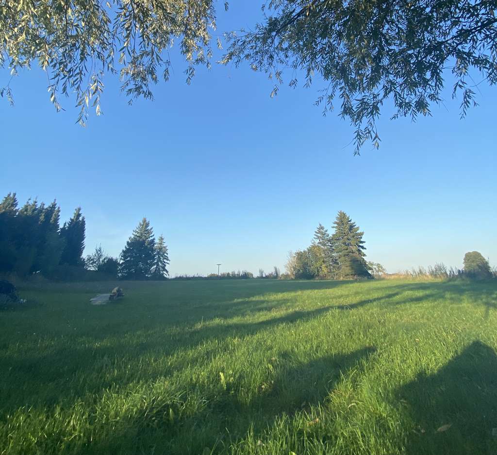 Immobilie in Am Salzhaff - Großzügiges Haus mit 10 Zimmern und 3200 m² Grundstück in Am Salzhaff - Bild 2