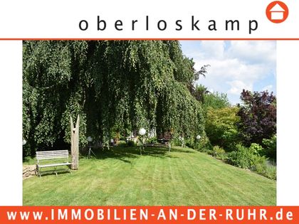 auf der suche nach einem liebhaber mülheim an der ruhr