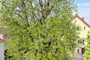 Gemütliche und helle 1-Zimmer-Wohnung mit Balkon und TG-Stellplatz in HN-Böckingen – Ludwigsburger Str. 95, 74080 Böckingen, Heilbronn – Vorschaubild 15