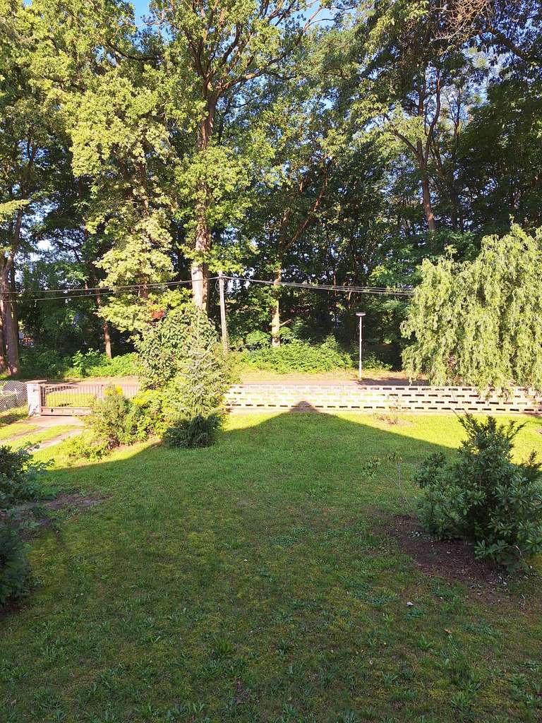 Immobilie in Heidesee - "Ein Schätzchen wartet: Ländliches Domizil in idyllischer Gegend - Bild 4