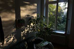 Kurzzeitvermietung. 2-Zimmer-Wohnung im Musikviertel, Leipzig - vom 20. Juni bis 30. August – Schwägrichenstraße 7, 4107 Zentrum-Süd, Leipzig – Vorschaubild 6