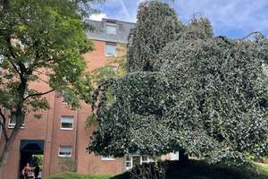 Helle 3-Zimmer-Gartenwohnung in Köln-Niehl - Pure Wohnqualität im "Brunnenplatz Veedel"  – 50735 Niehl, Köln – Vorschaubild 15