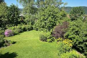 Ruhige, sonnige DHH - großer Garten, Weitblick & Waldnähe in begehrter Lage v. Privat – Marburg-Biedenkopf (Kreis) – Vorschaubild 15