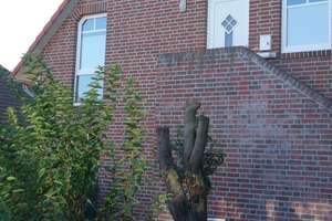 Property thumbnail 22