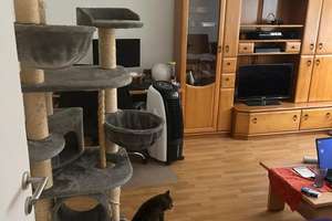 2 Häuser in Einem – 45355 Schönebeck, Essen – Vorschaubild 17