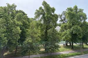 Wohnen im Lehel, wo München am schönsten ist - stilvolle Wohnung mit zwei Balkonen und Isarblick – 80538 Lehel, München – Vorschaubild 3