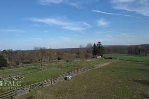 Vierkanthof mit Blick auf Wiesen und Felder – Große Straße 27, 52441 Linnich – Vorschaubild 9
