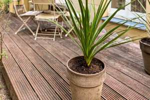 Property thumbnail 16