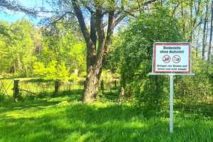 Naturparadies Rheinsberg: Bungalows auf großem Grundstück in Nähe zu zwei wunderschönen Seen – Ostprignitz-Ruppin (Kreis) – Vorschaubild 20