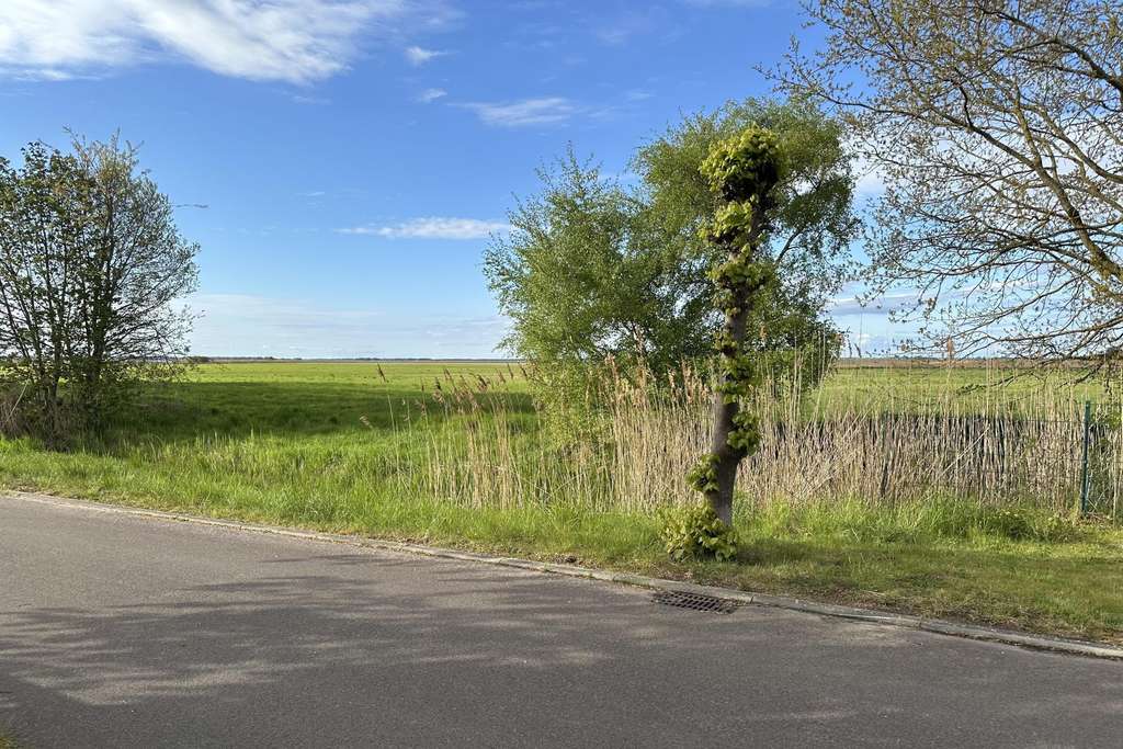 Immobilie in Fuhlendorf - Charmanter Bungalow am Bodden nahe der Ostsee - Bild 4