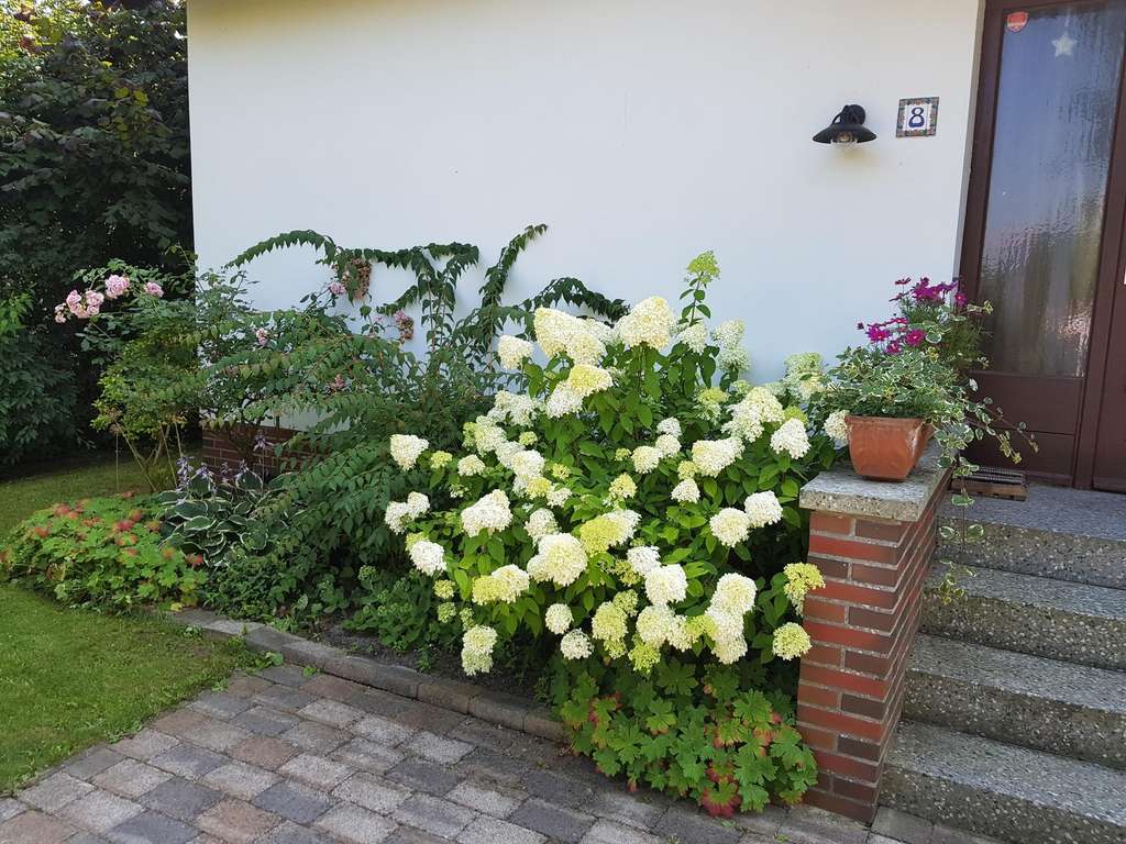 Immobilie in Hetlingen - Einfamilienhaus mit großem Garten in ruhiger Sackgassenlage - Bild 1