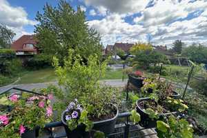*** Umfangreich, auch energetisch, modernisiert, viel Platz & Raum zum Leben & Wohnen *** – Lüneburg (Kreis) – Vorschaubild 19