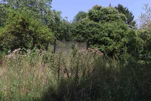 Naturnahe wohnen: Eigentumswohnung mit weitläufigem Garten  – Bielefeld – Vorschaubild 8