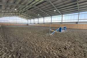 Reitanlage mit 60er Halle auf 5 ha zu verkaufen – Die vollständige Adresse der Immobilie erhältst du vom Anbieter., 59065 Mitte, Hamm – Vorschaubild 3