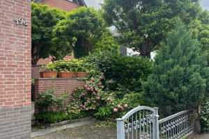 Idyliisches Haus in Alt-Hürth Einzugsfertig – Rhein-Erft-Kreis – Vorschaubild 3
