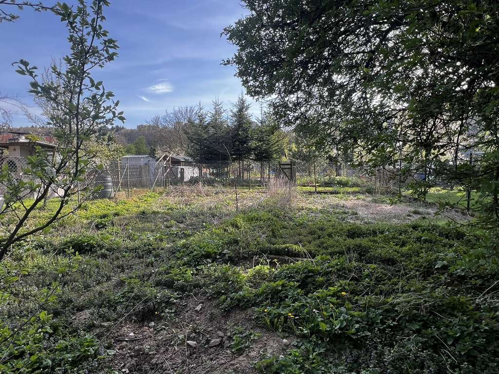 Immobilie in Eisingen - Sanierungsobjekt mit Scheune & großem Garten in zentraler Lage zu verkaufen - Bild 4