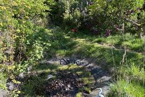 Teilweise renoviertes 1-Familienhaus mit Pkw-Garage 
in beliebter ruhiger Lage, Hagen-Blumenviertel – Die vollständige Adresse der Immobilie erhältst du vom Anbieter., 58095 Hochschulviertel, Hagen – Vorschaubild 18