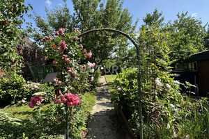Häuschen mit gepflegtem Garten - Familienglück in ruhiger Feldrandlage – Heinsberg (Kreis) – Vorschaubild 24