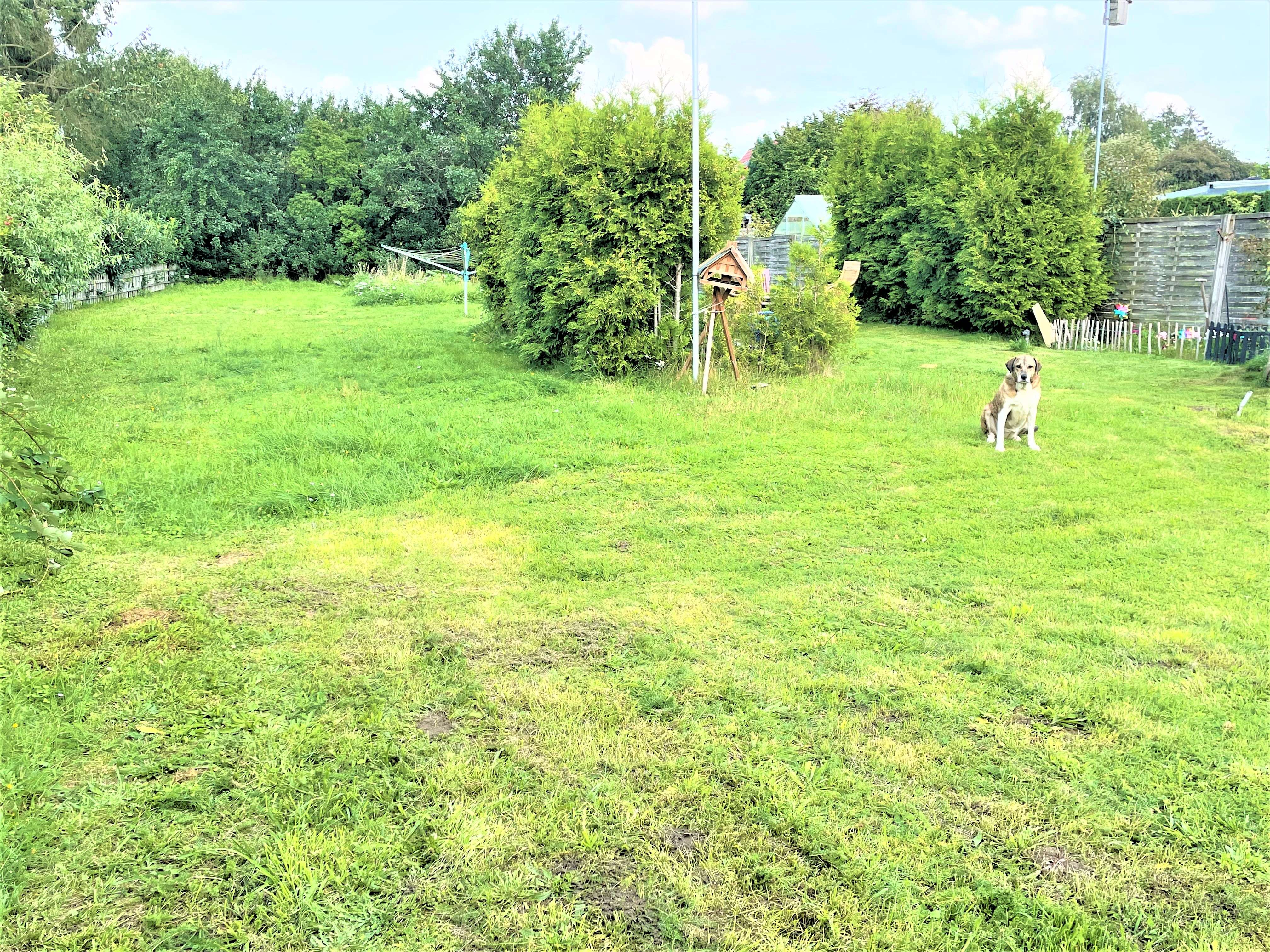 RUHIGE, GRÜNE LAGE IN DER ALTEN GARTENSTADT (RÖMBKE IMMOBILIEN KG), Neumünster – Bild 3