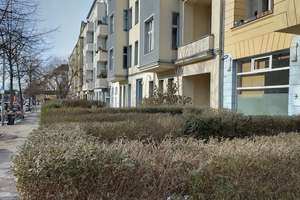 Property thumbnail 13