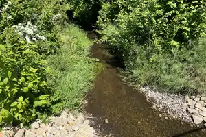 Eichenried: Wo Ihre Wohnträume Ihr Zuhause finden - Ihre eigene Doppelhaushälfte mit sonnigem Garten – Erding (Kreis) – Vorschaubild 6