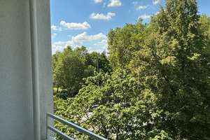 Familienfreundliche 3-Raum-Wohnung mit Balkon - WBS erforderlich! – Krahwinkelstr. 9, 45276 Steele, Essen – Vorschaubild 3