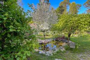 Bezugsfrei: schönes Einfamilienhaus mit idyllischem Garten – Havelland (Kreis) – Vorschaubild 5