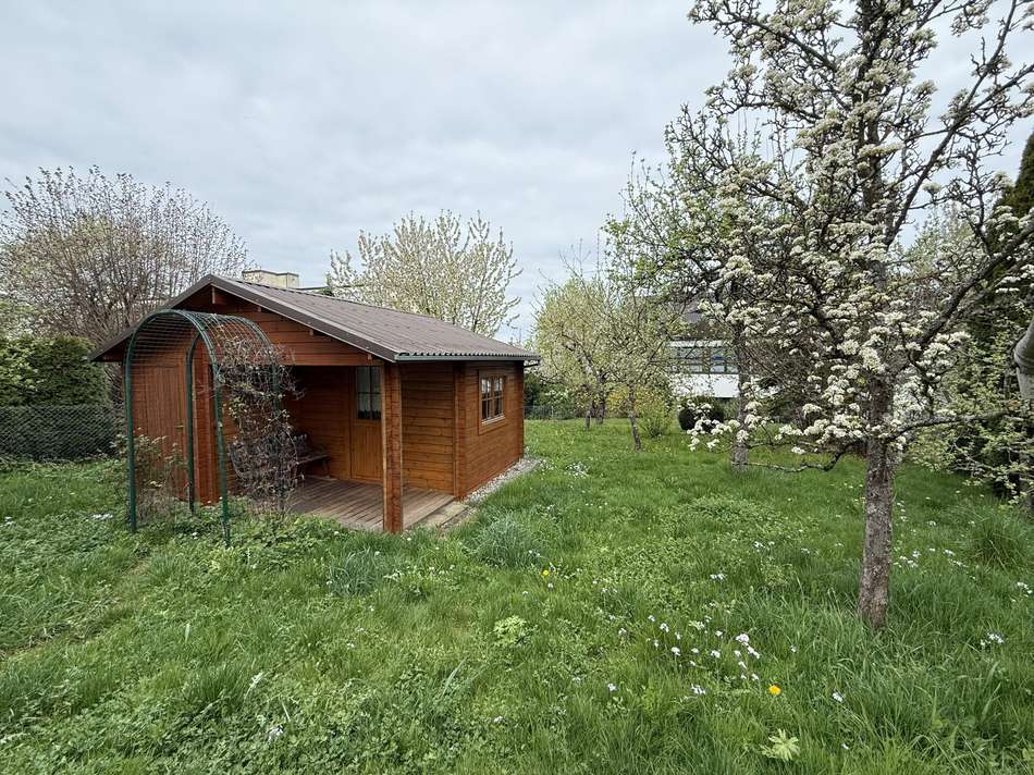 Blick in den Garten