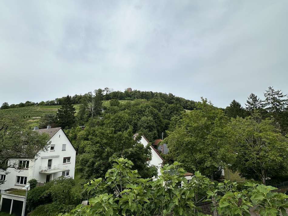Ausblick