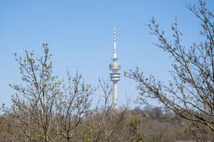 Zwischen Olympiapark und Hohenzollernplatz – Helene-Lange-Weg 1, 80637 Oberwiesenfeld, München – Vorschaubild 20