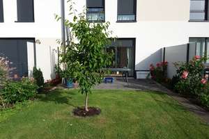 Reihenhaus mit bis zu 4,5 Zimmer inkl. Stellplatz, EBK und Garten – Wartenbergerstr. 30B, 13053 Alt-Hohenschönhausen, Berlin – Vorschaubild 8