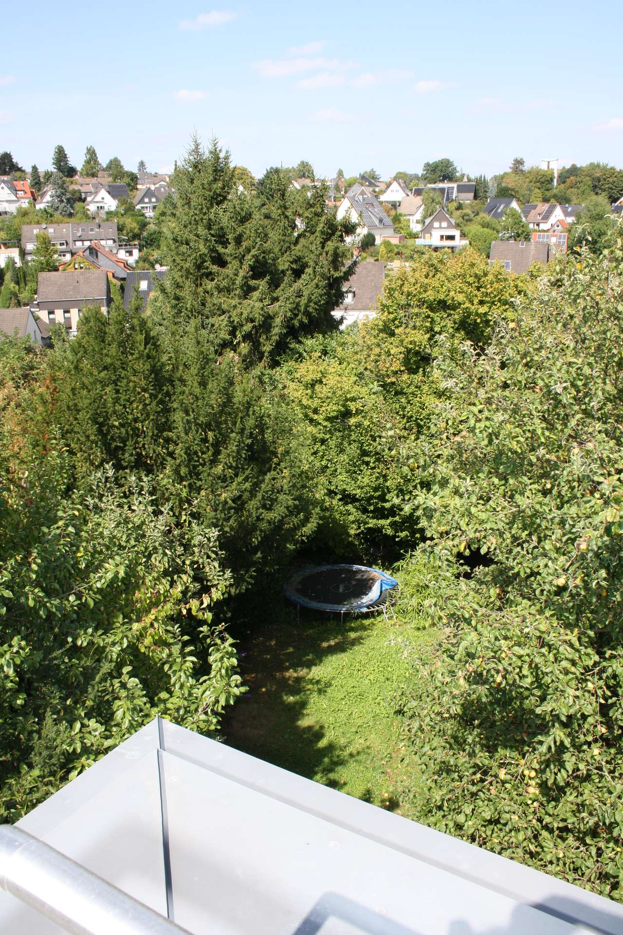Blick von Terrasse in Garten