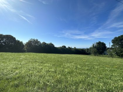 Grundstück pachten in BadenWürttemberg Grundstücke zur Pacht bei
