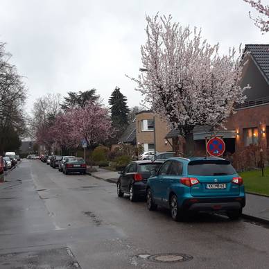 53+ Wohnung In Kempen Mit Garten, Gartenwohnung mieten in der