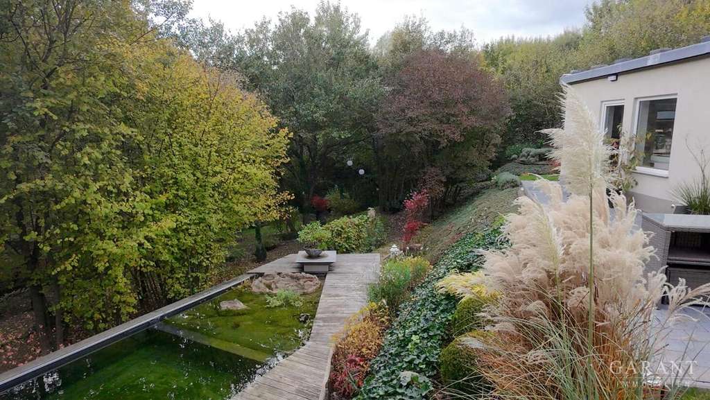 Immobilie in Reifenberg - Wo Träume wachsen - Neubau mit Naturbadeteich in sonniger, grüner Lage - Bild 4