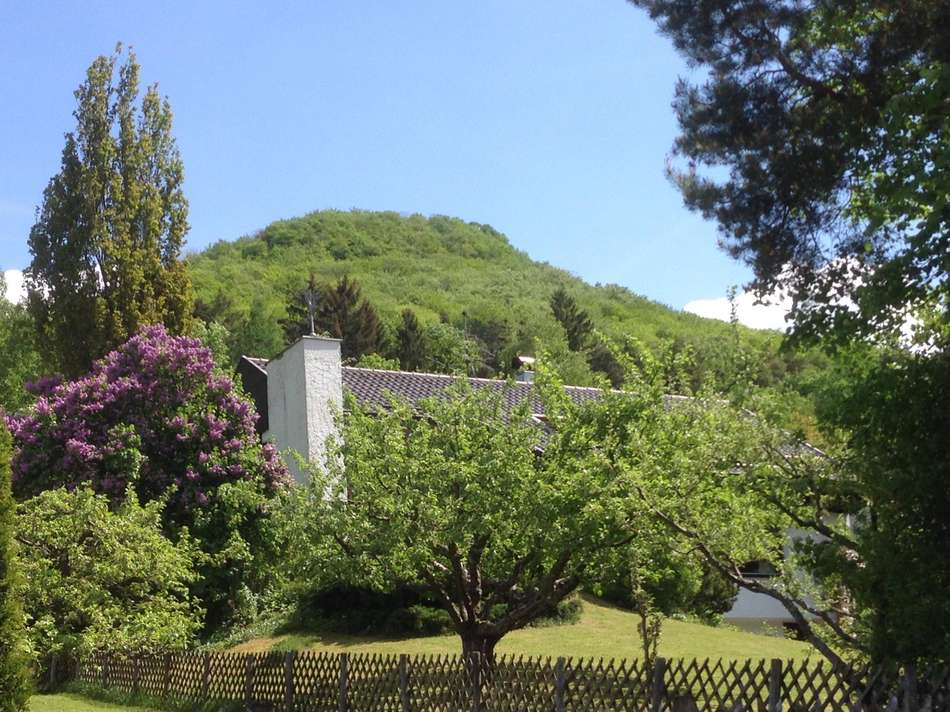 Blick unterer Teil des Gartens