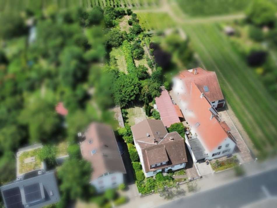 Vogelperspektive