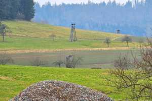 Großes landwirtschaftliches Anwesen mit 2 Häusern, Nebengebäuden, Wohnmobilstellplätzen etc. – Odenwaldkreis – Vorschaubild 18