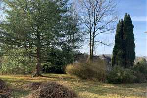 Solides Einfamilienhaus mit großzügigem Gartengrundstück sucht neuen Eigentümer – Altenkirchen (Westerwald) (Kreis) – Vorschaubild 5