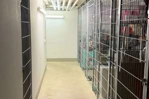 Sofort bezugsfreie 3-Raumwohnung mit Einbauküche und Stellplatz – Buchener Straße 28, 4178 Böhlitz-Ehrenberg, Leipzig – Vorschaubild 13