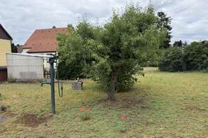 Viel Platz in Mannheim: Einfamilienhaus mit großem Grundstück – 68305 Käfertal, Mannheim – Vorschaubild 4