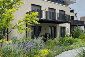 Sonniger Südbalkon - 4,5 Zimmer in Waldnähe – Lipper Hellweg 49 D, 33604 Stieghorst, Bielefeld – Vorschaubild 13