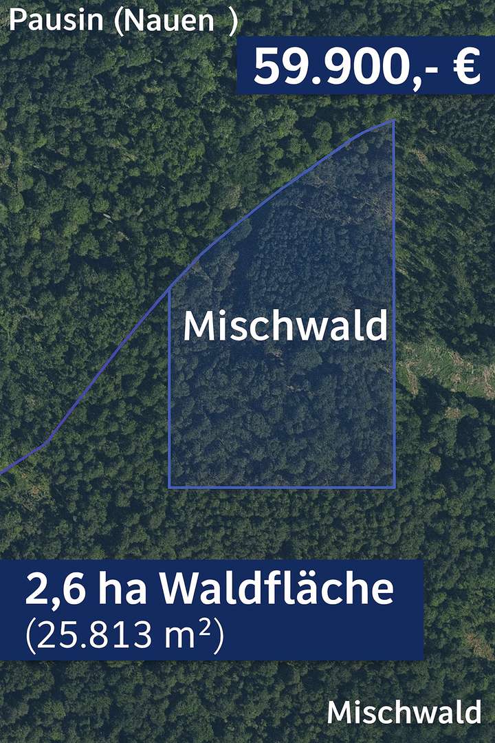 Copilot_20251201_073130