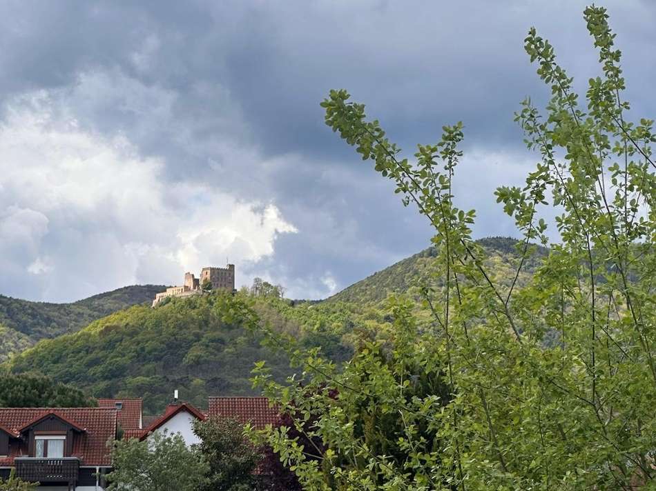 Schlossblick