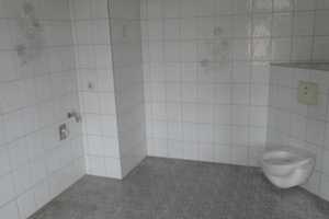Ärmel hochkrempeln und loslegen!! – Pausa/Vogtland, Vogtlandkreis, 7952 Vogtlandkreis – Vorschaubild 16