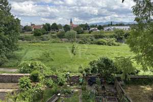 Historisches, WEG-geteiltes Wohnhaus mit 4-Einheiten - ideal geeignet für Mehrgenerationenwohnen – Die vollständige Adresse der Immobilie erhältst du vom Anbieter., 68239 Seckenheim, Mannheim – Vorschaubild 18
