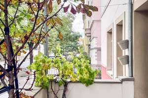 Premium 2-Zimmer-Wohnung in bester Lage! – 97072 Altstadt, Würzburg – Vorschaubild 9