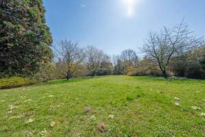 Property thumbnail 19